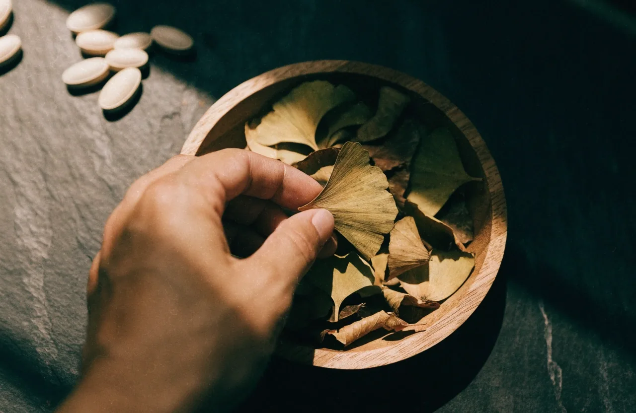 A shallow tray of dried fan-shaped ginkgo leaves with pale pressed tablets on linen